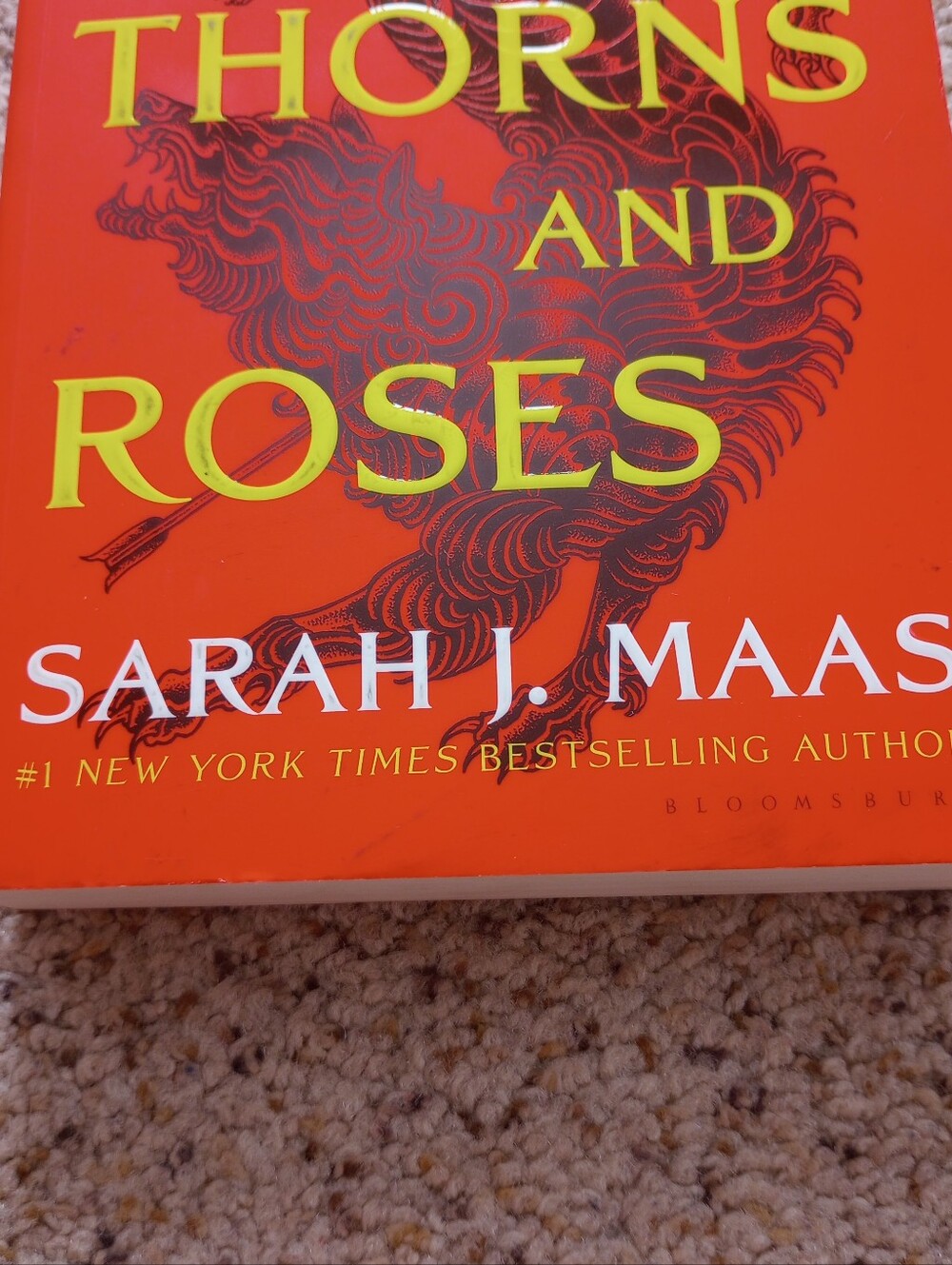 A Court Of Thorns And Roses Sarah J. Maas Book Fantasy Romance - Picture 4 of 12